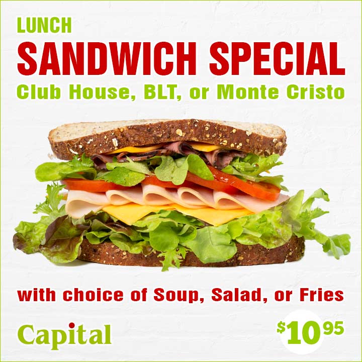 Lunch Sandwich Special